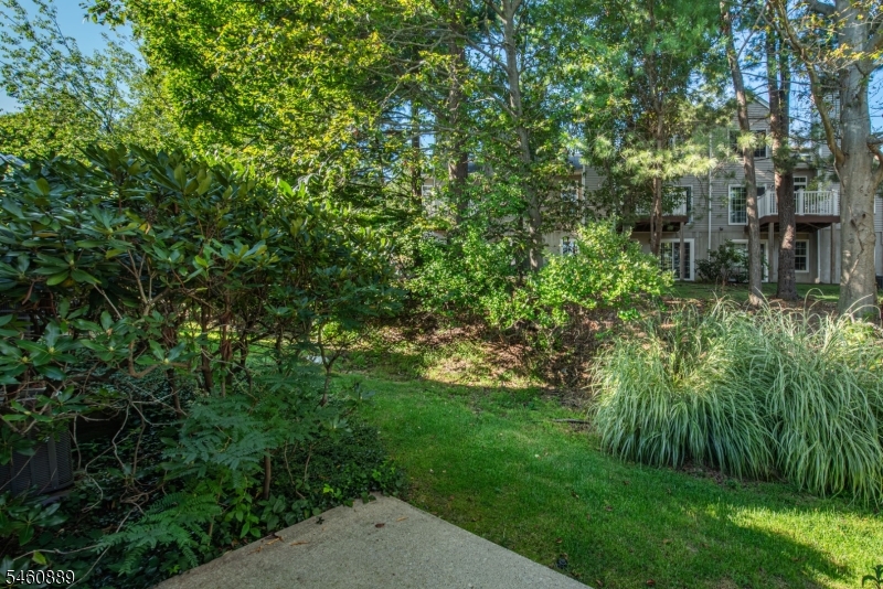 122 Woodmont Drive Randolph NJ 07869