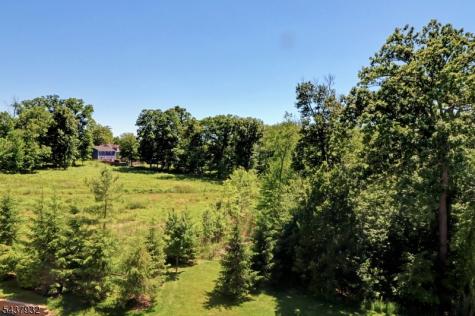 3412 Pointe Gate Drive Livingston NJ 07039