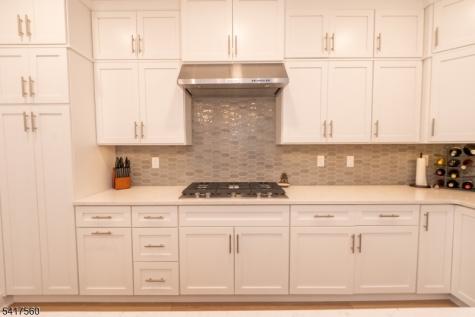 18 Flower Horn Boulevard Randolph NJ 07869