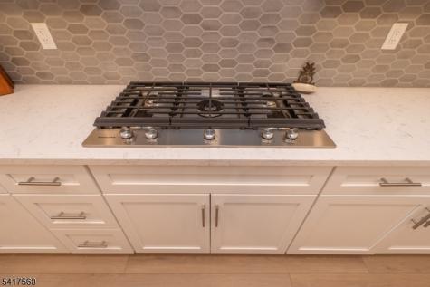 18 Flower Horn Boulevard Randolph NJ 07869