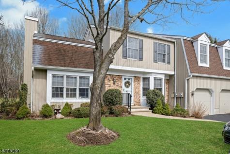 47 Dexter Drive N Bernards NJ 07920
