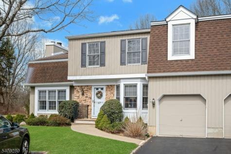 47 Dexter Drive N Bernards NJ 07920