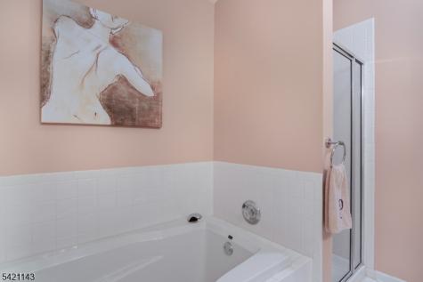 8 Russell Court Montville NJ 07045