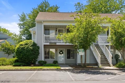39 Larkspur Court Bedminster NJ 07921