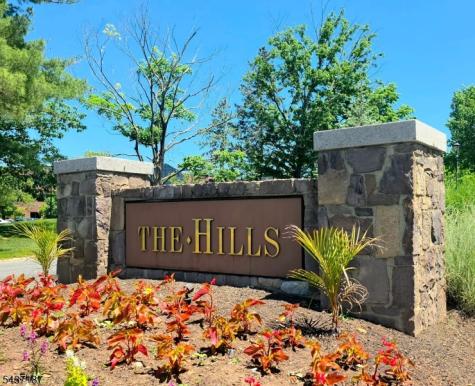 39 Larkspur Court Bedminster NJ 07921
