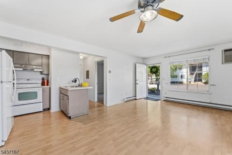 39 Larkspur Court Bedminster NJ 07921