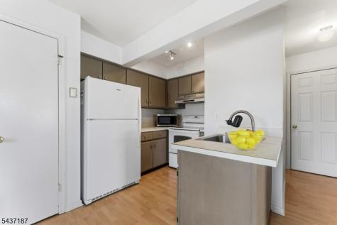 39 Larkspur Court Bedminster NJ 07921