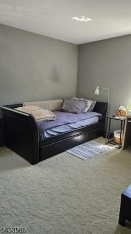 105 Troy Drive Springfield NJ 07081
