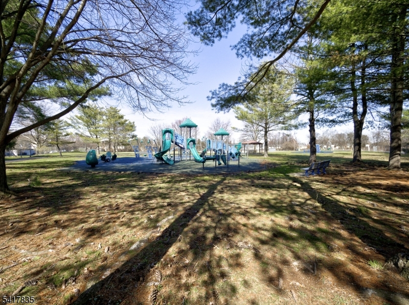 11 Lindsey Court Franklin NJ 08823