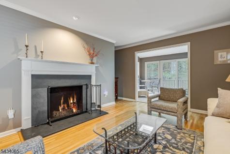 22 Hunters Circle Tewksbury NJ 08833