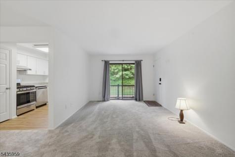 1403 Normandy Court Raritan NJ 08822