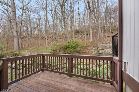 11196 Dell Place Stanhope NJ 07874