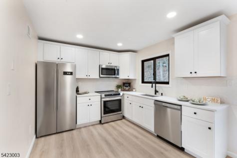 11196 Dell Place Stanhope NJ 07874