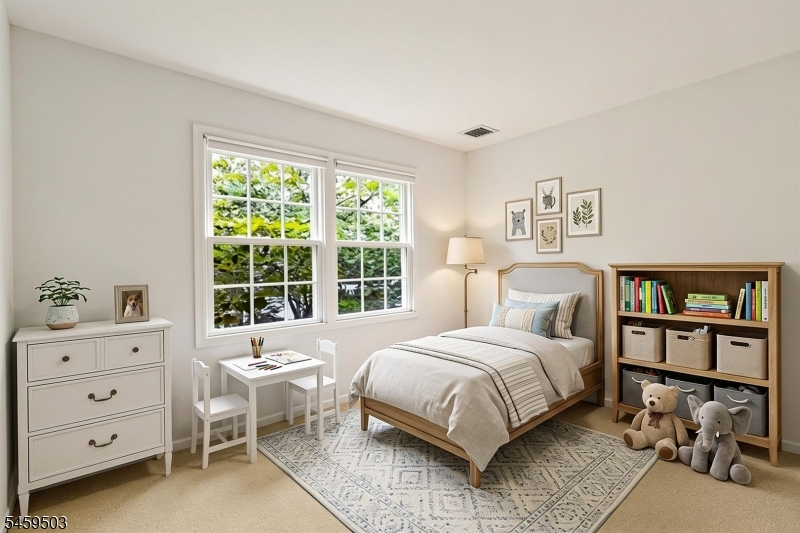 9 Northbridge Place Morris NJ 07960