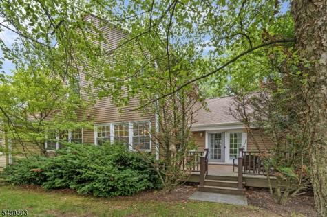 9 Northbridge Place Morris NJ 07960