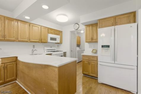 9 Northbridge Place Morris NJ 07960