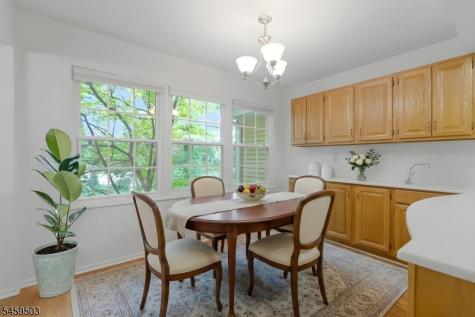 9 Northbridge Place Morris NJ 07960