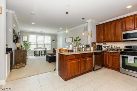 6217 Brookhaven Court Riverdale NJ 07457