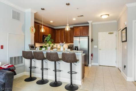 6217 Brookhaven Court Riverdale NJ 07457