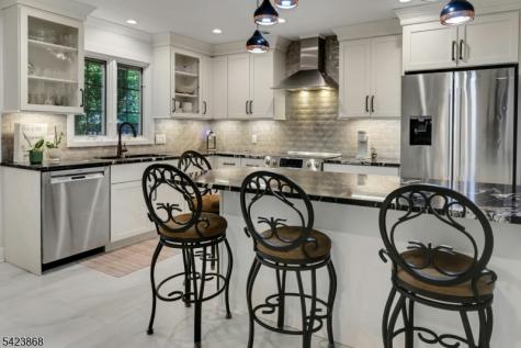 8 Pembroke Drive Mendham NJ 07945