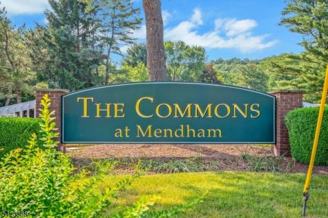 8 Pembroke Drive Mendham NJ 07945