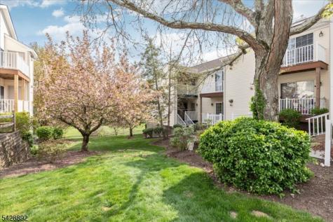 172 Potomac Drive Bernards NJ 07920