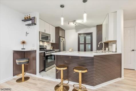 172 Potomac Drive Bernards NJ 07920