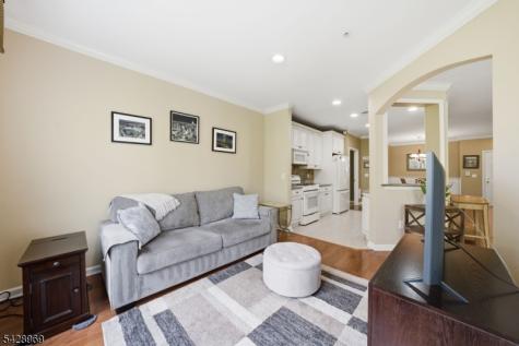 79 Ridgeview Lane Mount Arlington NJ 07856