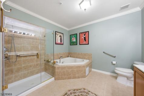 79 Ridgeview Lane Mount Arlington NJ 07856