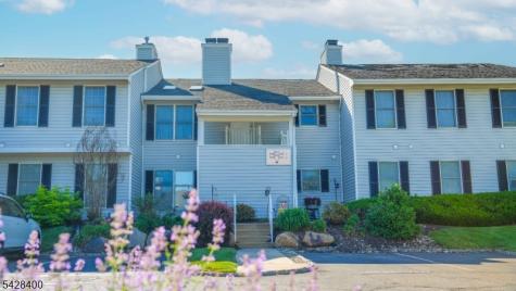 254 Nuthatch Court Readington NJ 08887