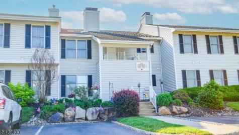 254 Nuthatch Court Readington NJ 08887