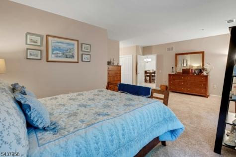 17 Ridgeview Lane Mount Arlington NJ 07856