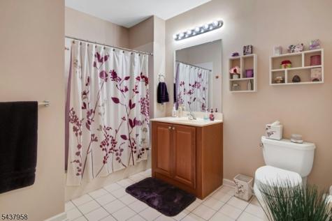 17 Ridgeview Lane Mount Arlington NJ 07856