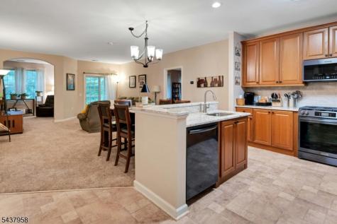 17 Ridgeview Lane Mount Arlington NJ 07856