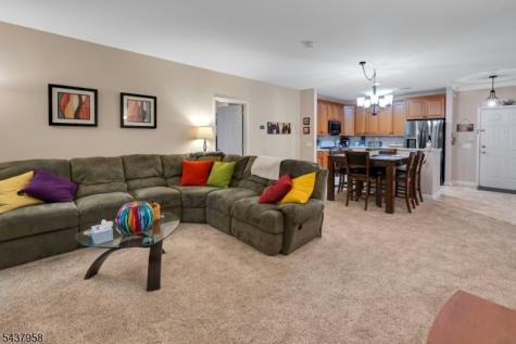 17 Ridgeview Lane Mount Arlington NJ 07856