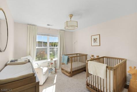 14 Blazingstar Way Allamuchy NJ 07840