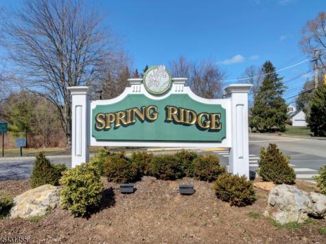 114 Potomac Drive Bernards NJ 07920