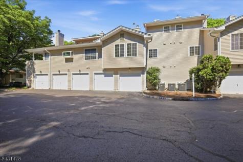 13 Encampment Drive Bedminster NJ 07921