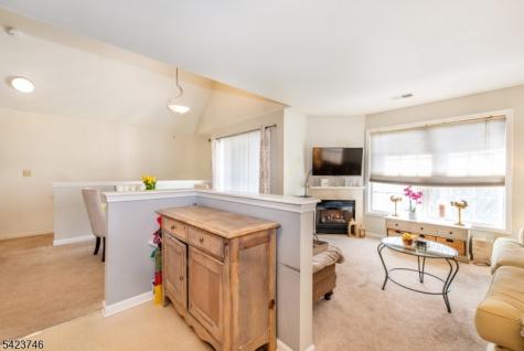 366 Cambridge Drive Butler NJ 07405