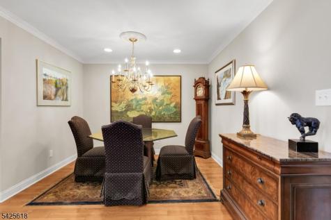 20 Hopkinson Court Bernards NJ 07920