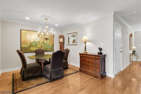 20 Hopkinson Court Bernards NJ 07920
