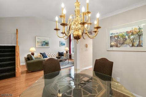 20 Hopkinson Court Bernards NJ 07920