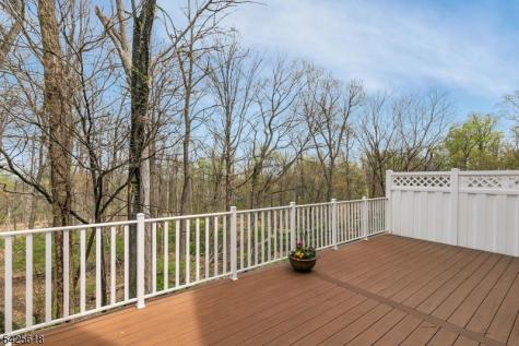 20 Hopkinson Court Bernards NJ 07920