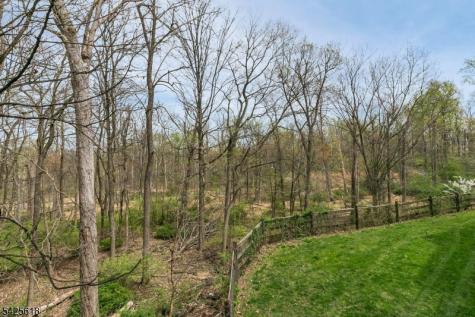 20 Hopkinson Court Bernards NJ 07920
