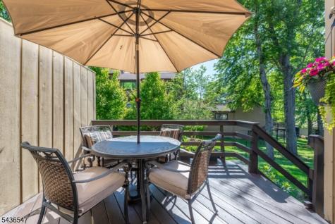 5 Tulip Lane Harding NJ 07960
