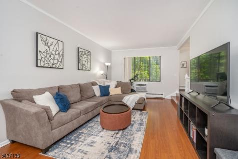 11 Sentinel Court Chatham NJ 07928
