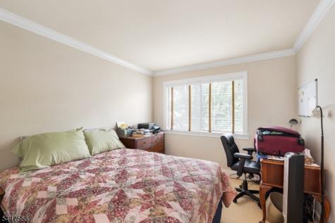 47 Encampment Drive Bedminster NJ 07921