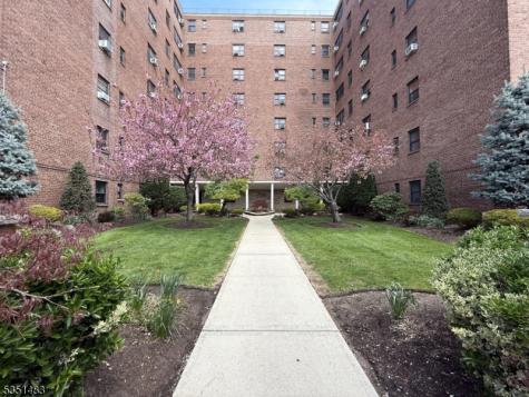 208 Anderson Street Hackensack NJ 07601