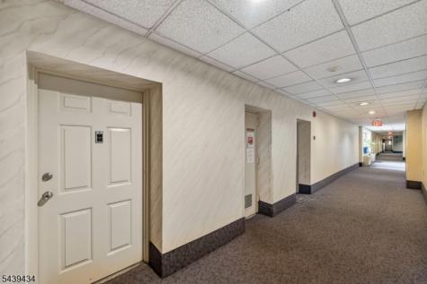 19 Lyons Avenue Newark NJ 07112