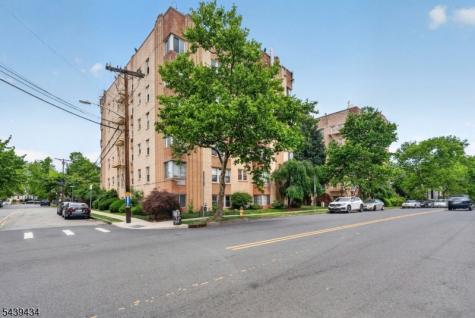 19 Lyons Avenue Newark NJ 07112